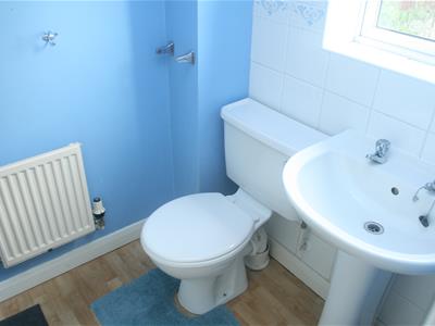 Picture 14